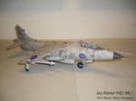 Sea Harrier Mk 1 (3).JPG

61,67 KB 
1024 x 768 
22.11.2011
